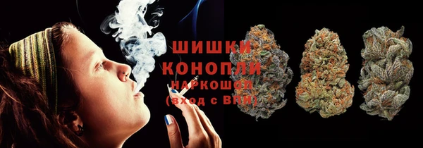 бошки Белокуриха